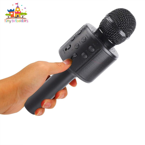 Handheld Karaoke Mic with Built-in Speaker