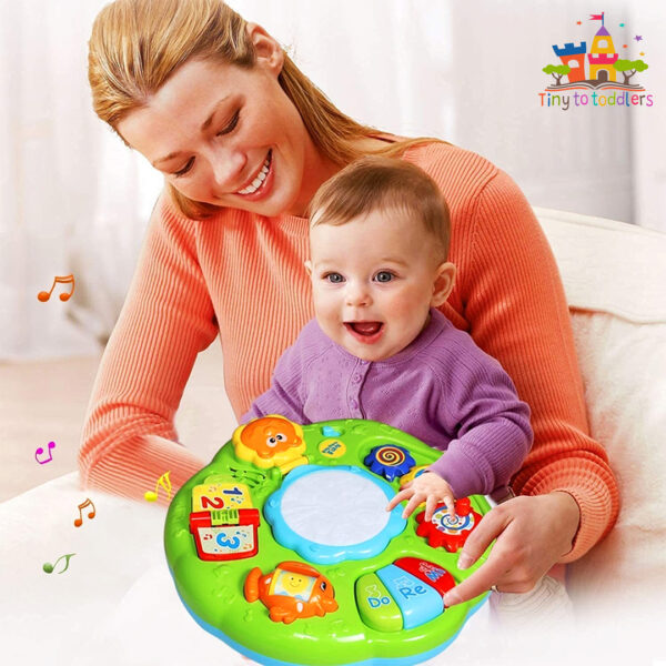 Learn & Play Duo: 2-in-1 Early Learning Toy