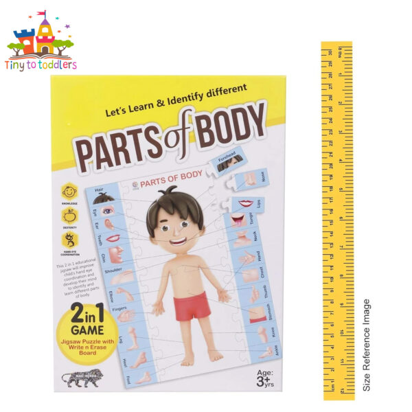 Body Parts Puzzle for Kids (for children aged 4-8) - Image 6